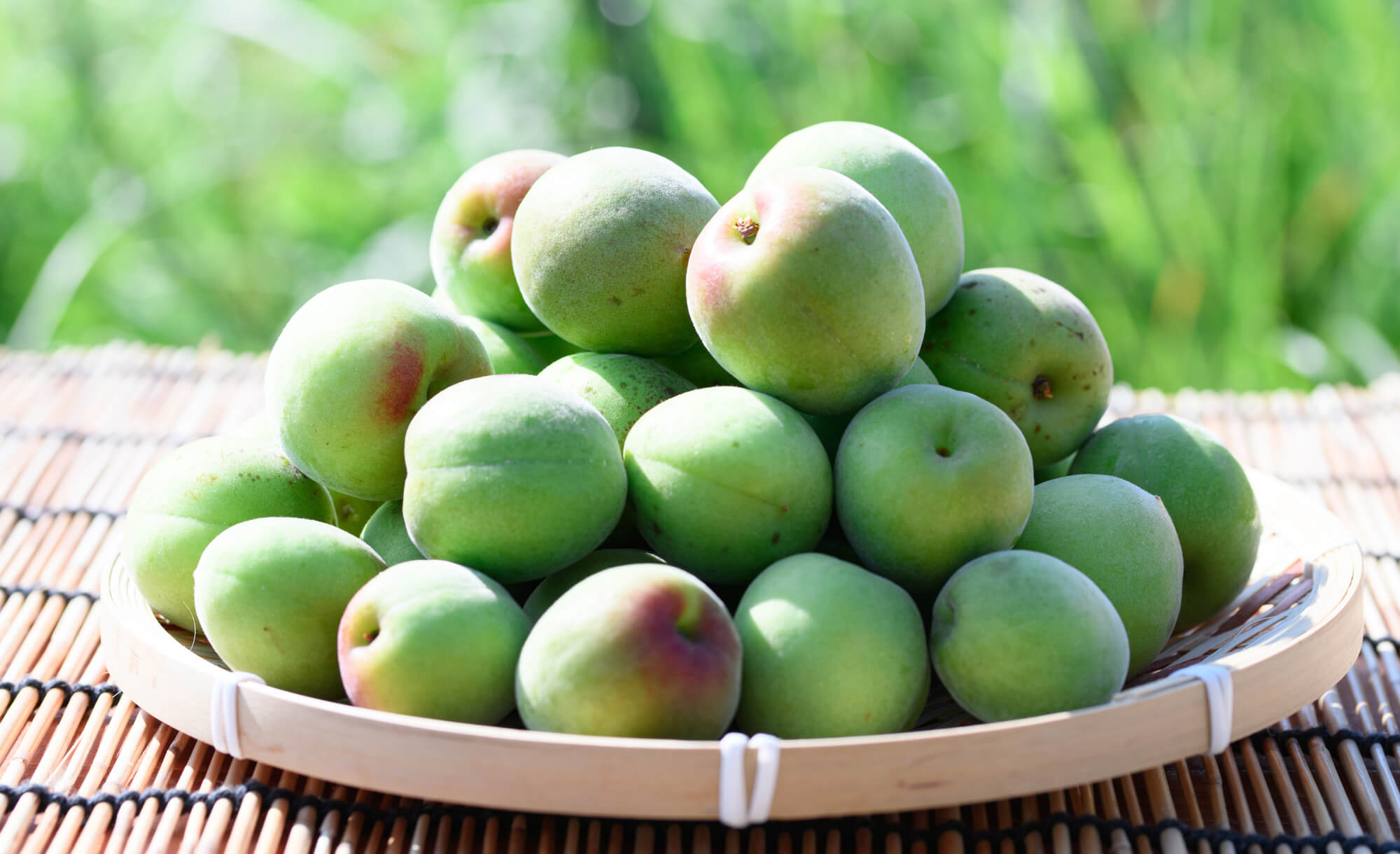 大見出し大見出し