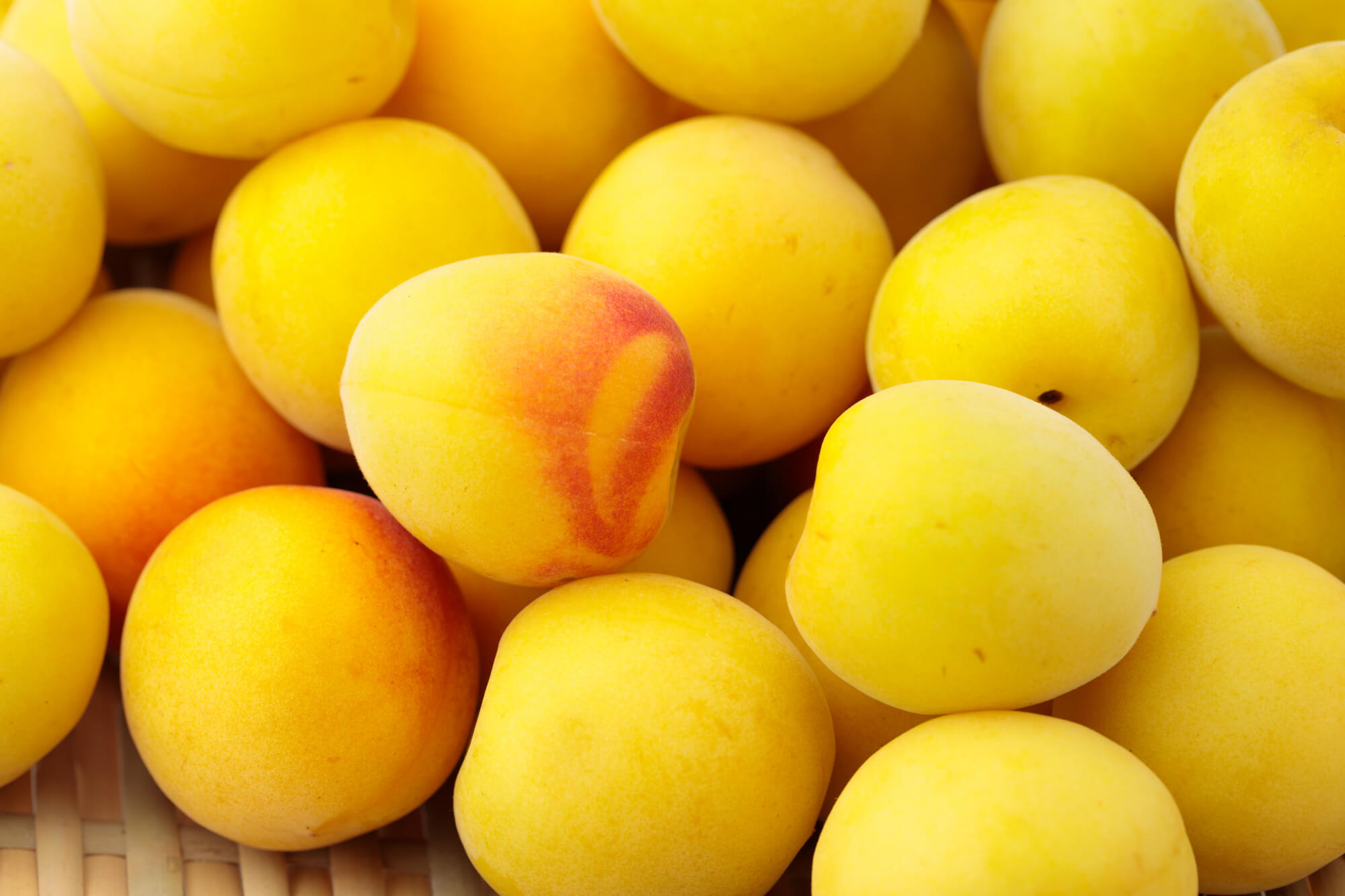 大見出し大見出し