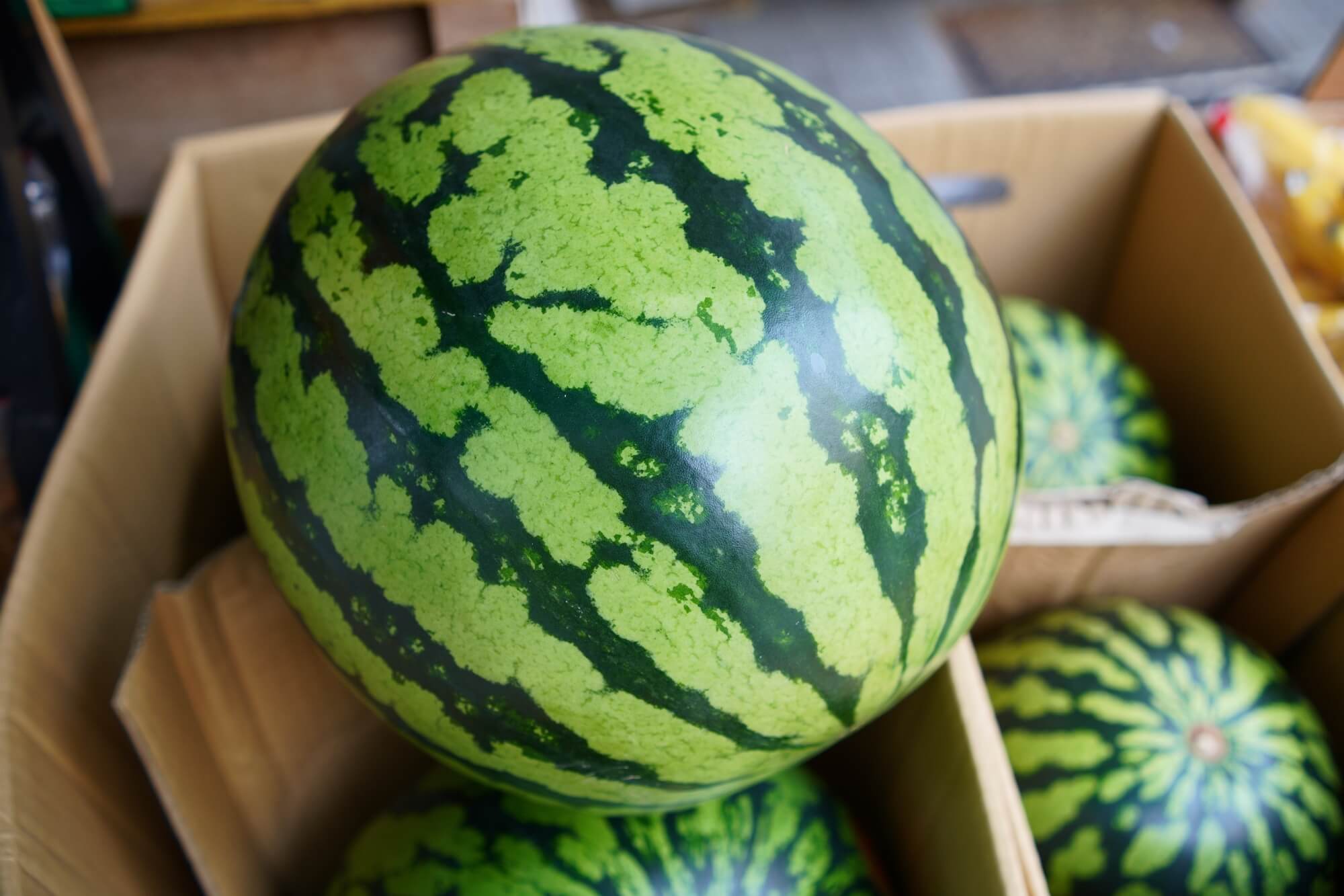 大見出し大見出し