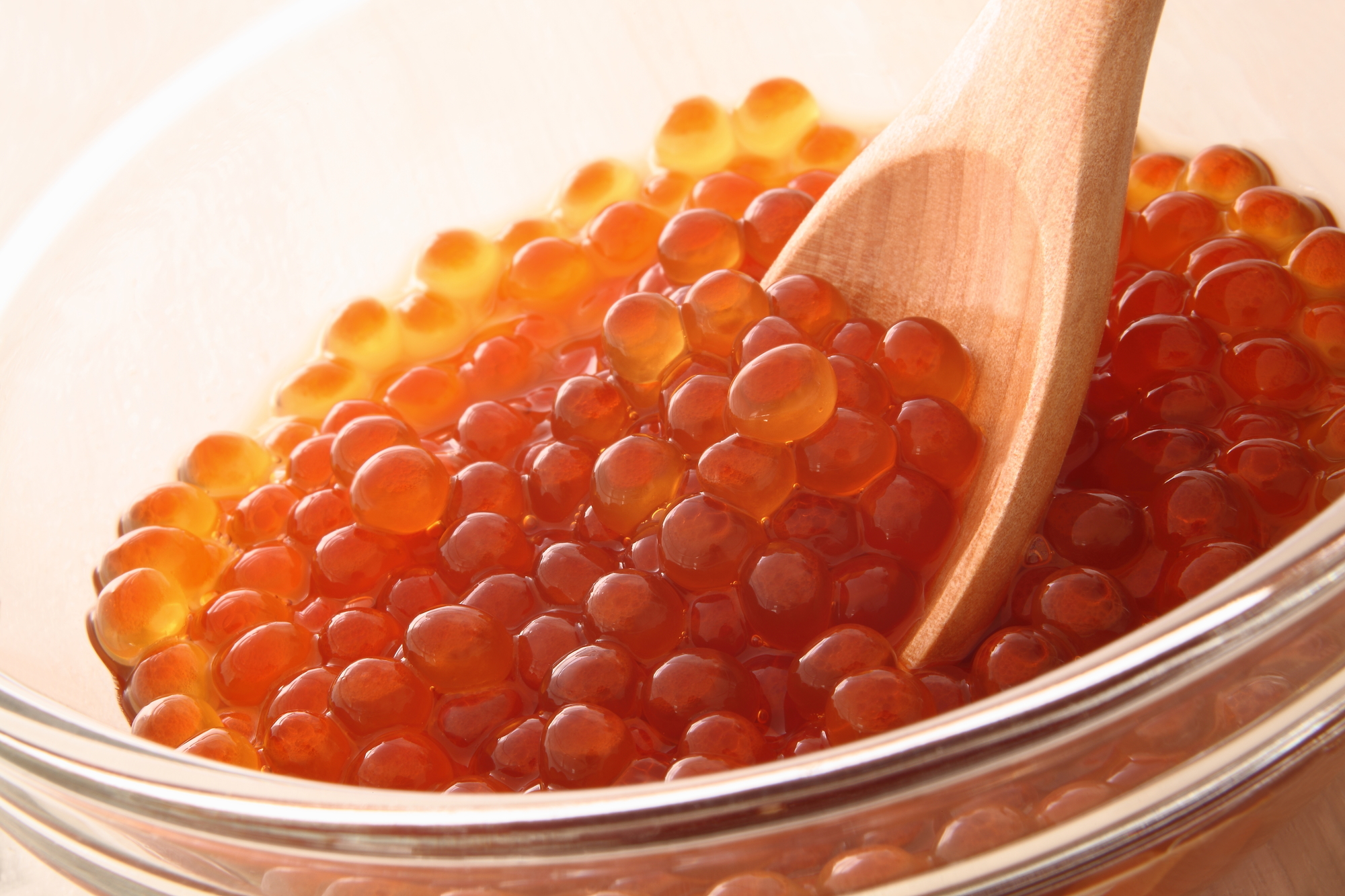 大見出し大見出し