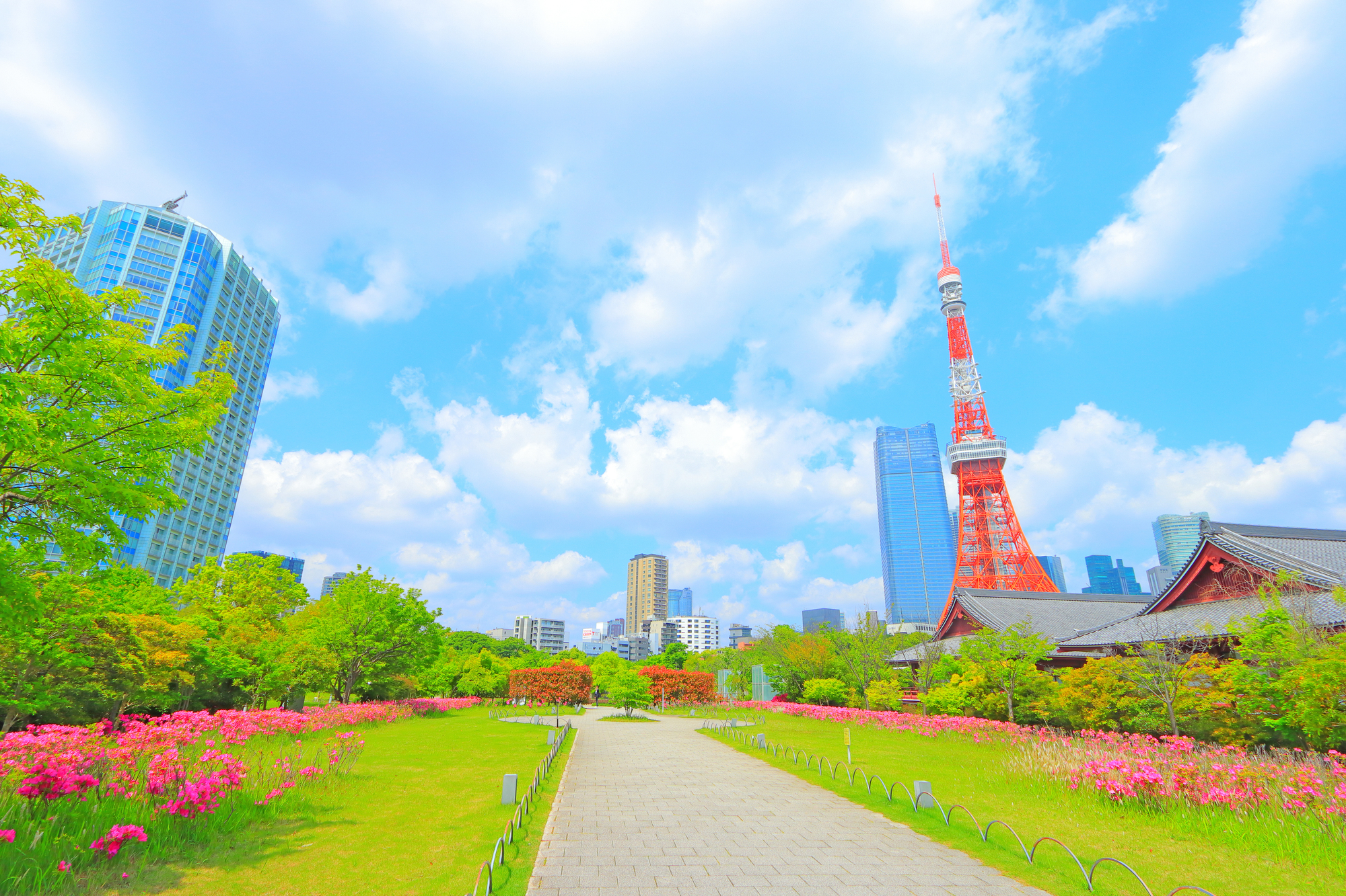 大見出し大見出し