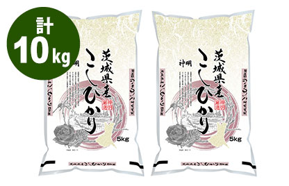 【令和6年産】【精米】茨城県産こしひかり 10kg（5kg×2袋）