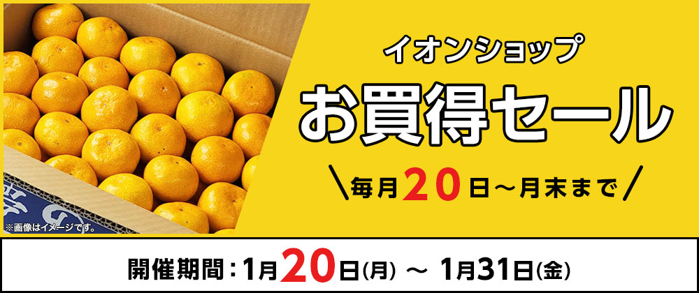 イオンショップ お買得セール 毎月20日～月末まで