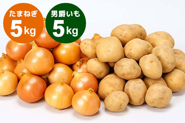 北海道美瑛町産 男爵いも たまねぎ セット 芋LM5kg、玉ねぎLM5kg【お届け期間：1月10日～1月31日】
