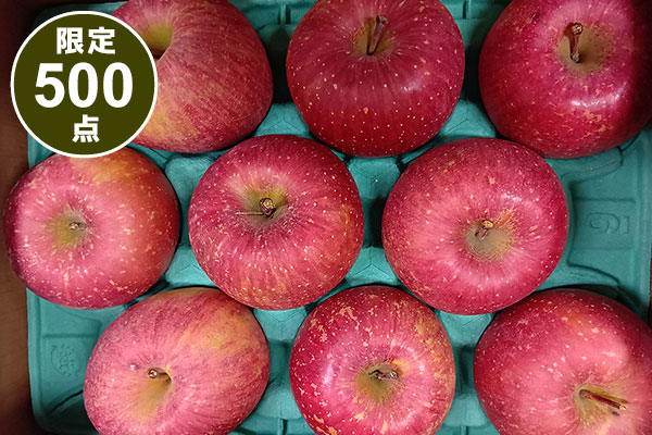 青森県産 葉とらずりんご ご家庭用 2.7kg【限定500点】【お届け期間：1月6日～1月31日】