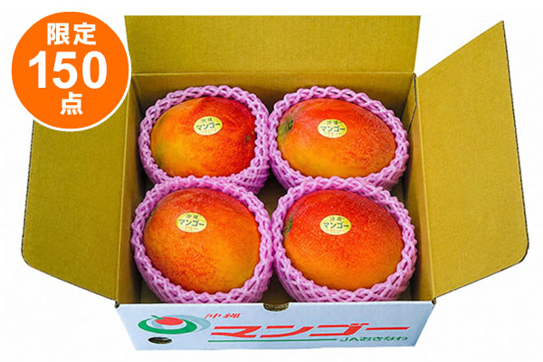沖縄県産(JAおきなわ) マンゴー 1.5kg ご自宅用 C規格 3～4玉