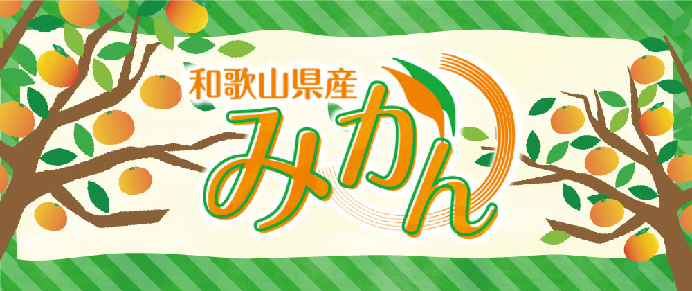 和歌山県産みかん