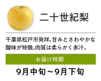二十世紀梨 千葉県松戸市発祥。甘みとさわやかな酸味が特徴。肉質は柔らかく多汁。 お届け時期 9月中旬～9月下旬
