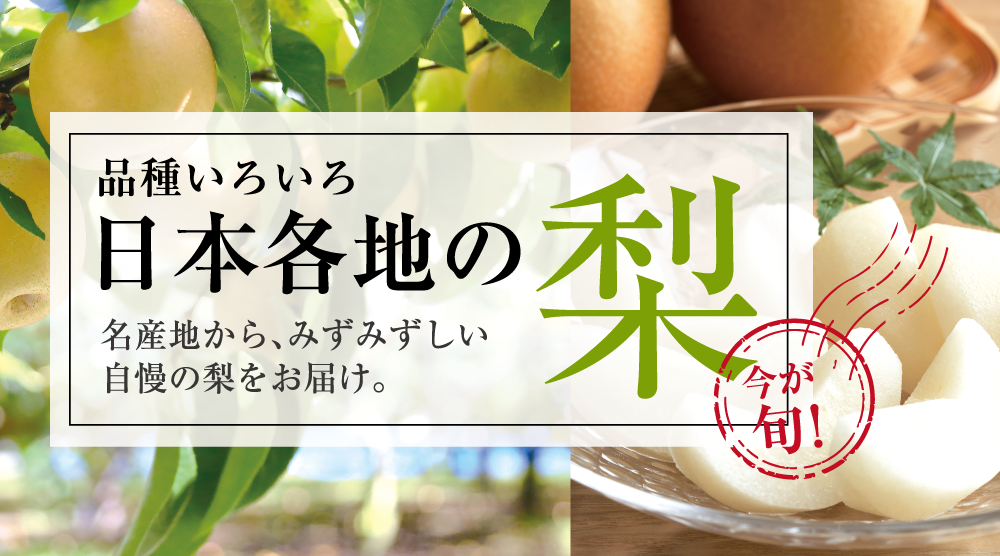 今が旬！ 品種いろいろ日本各地の梨 名産地から、みずみずしい自慢の梨をお届け。