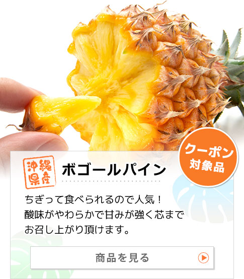 沖縄県産パイナップル ボゴールパイン 商品を見る：ちぎって食べられるので人気！酸味がやわらかで甘みが強く芯までお召し上がり頂けます。
