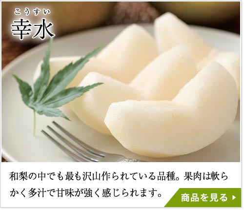 幸水梨（こうすいなし）：和梨の中でも最も沢山作られている品種。果肉は軟らかく多汁で甘味が強く感じられます。