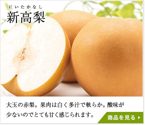 新高梨（にいたかなし）：大玉の赤梨。果肉は白く多汁で軟らか。酸味が少ないのでとても甘く感じられます。