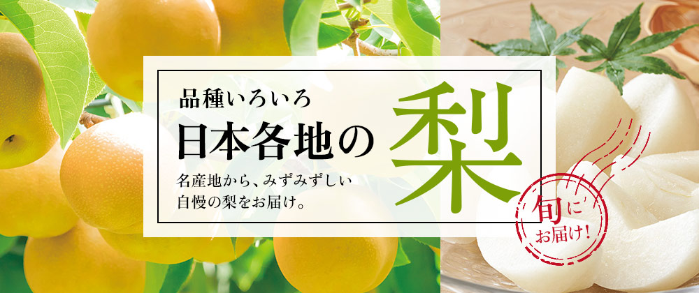 イオンショップの梨特集｜品種いろいろ日本各地の梨を集めました。名産地から、みずみずしい自慢の梨をお届けします。