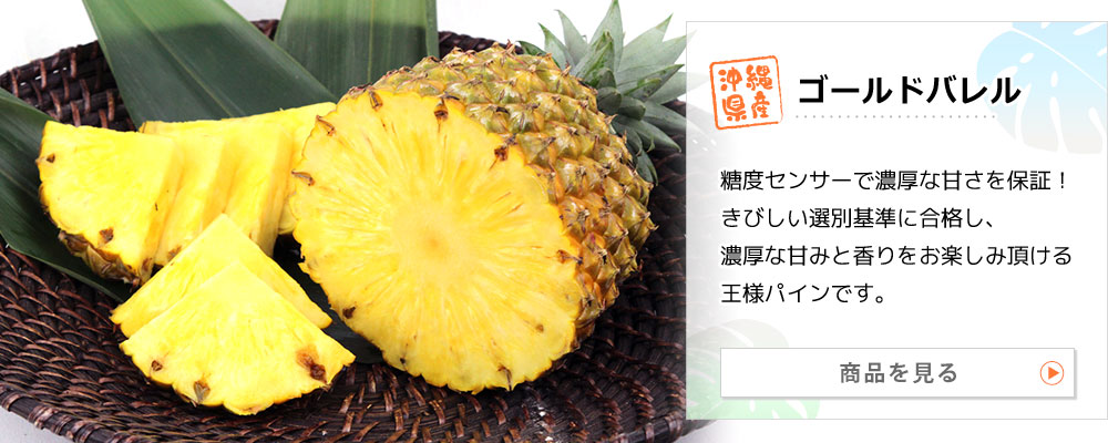 沖縄県産パイナップル ゴールドバレル 商品を見る：糖度センサーで濃厚な甘さを保証！きびしい選別基準に合格し、濃厚な甘みと香りをお楽しみ頂ける王様パインです。
