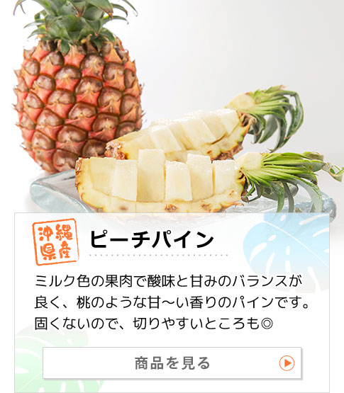 沖縄県産パイナップル ピーチパイン 商品を見る：ミルク色の果肉で酸味と甘みのバランスが良く、桃のような甘～い香りのパインです。固くないので、切りやすいところも◎