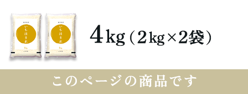 【令和6年産】【精米】福井県産 いちほまれ 4kg(2kg×2袋)