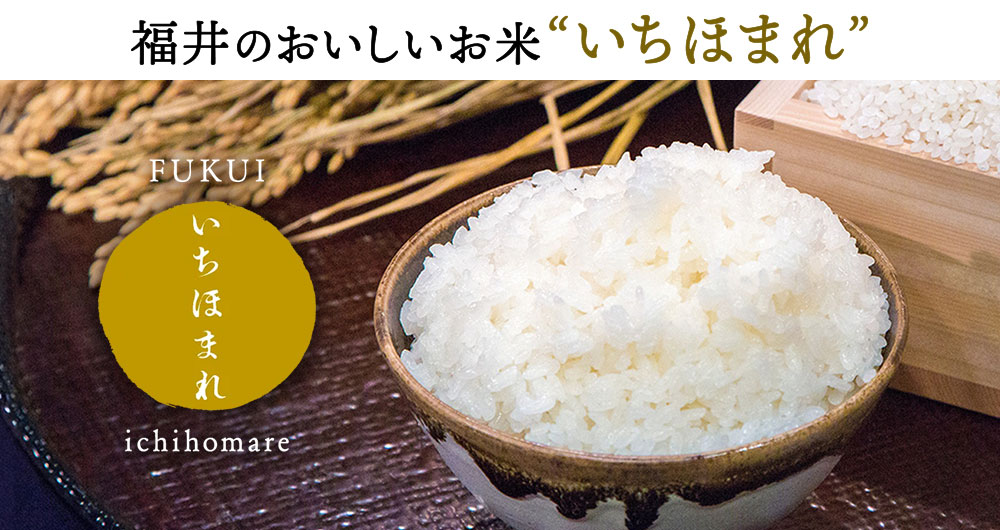 福井のおいしいお米 いちほまれ