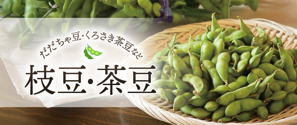 イオンショップのすいか特集 あまーいシャリ感がたまらない！
