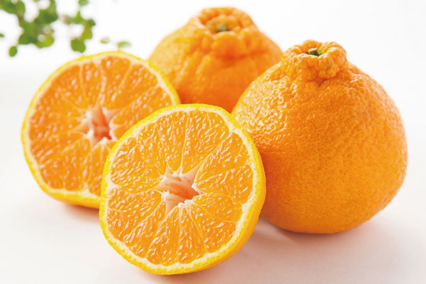 不知火（しらぬい）