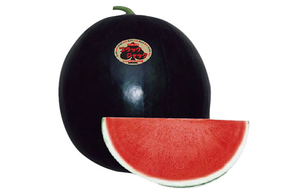 ブラックジャック