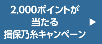 2,000ポイントが当たる揖保乃糸キャンペーン