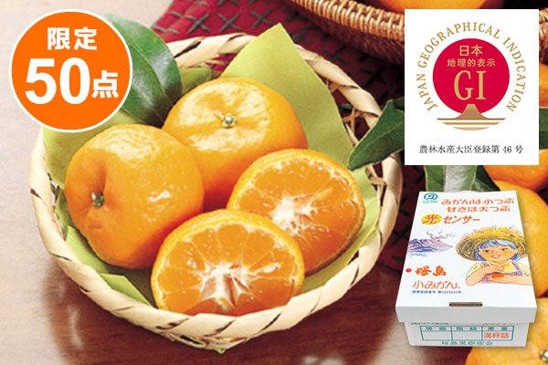 鹿児島県産 桜島小みかん バラ詰め 優品 3kg