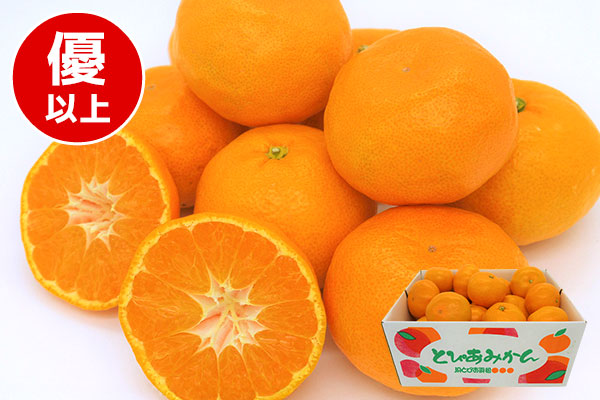 静岡県産(JAとぴあ浜松) 青島みかん