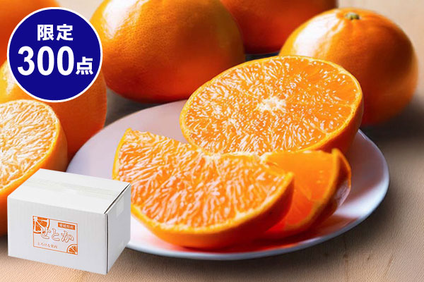 愛媛県産(JAえひめ中央) せとか 1.5kg ご家庭用 バラ詰め