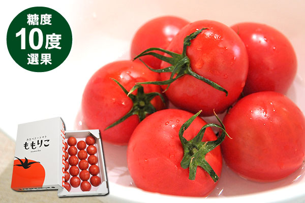 徳島県産(樫山農園) あまベリー トマト「ももりこ」 1箱【限定100点】