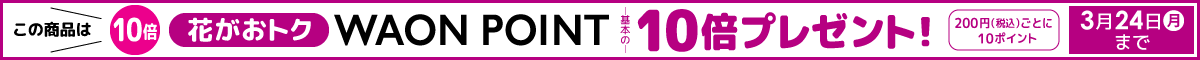 [イオンショップ限定 3/24(月)まで]こちらの商品は母の日・父の日 WAON POINT10倍プレゼント対象品です！
