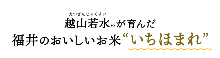 令和4年産】福井県産 いちほまれ 2kg×2袋【お届け期間：10/12〜3/10】【おいしいお取り寄せ】 | 米 - イオンショップ