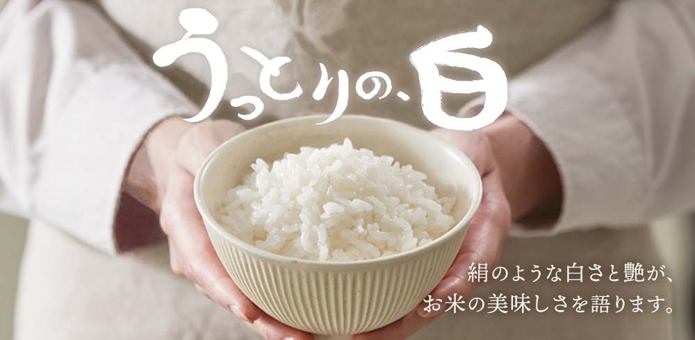 絹のような白さと艶が、お米の美味しさを語ります。