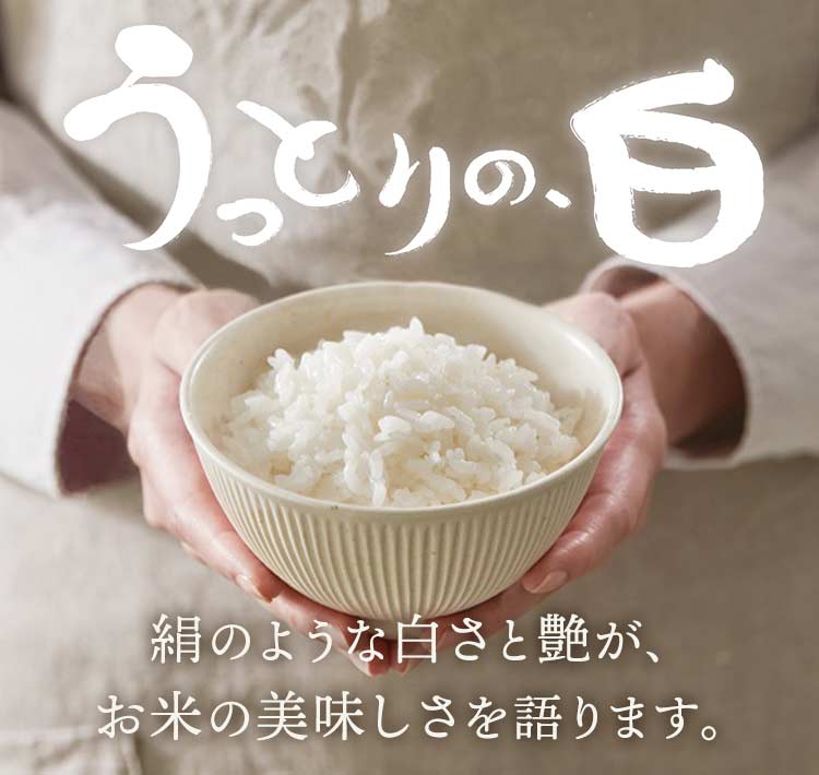 絹のような白さと艶が、お米の美味しさを語ります。