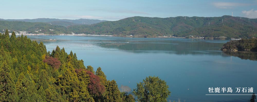 牡鹿半島 万石浦