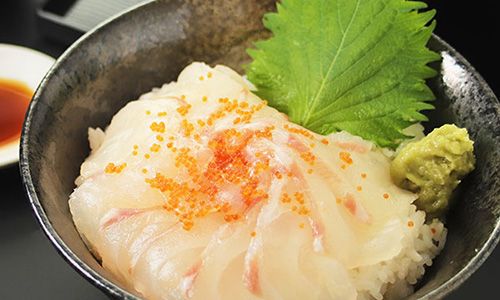 福井県 鮮魚丸松 海鮮丼セット 真鯛丼