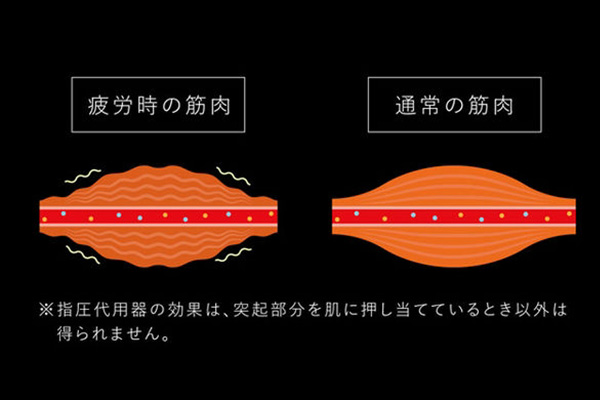 疲労時の筋肉と通常時の筋肉