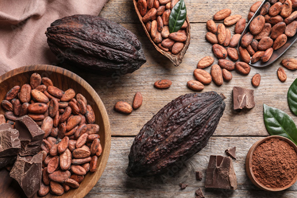 カカオ豆イメージ