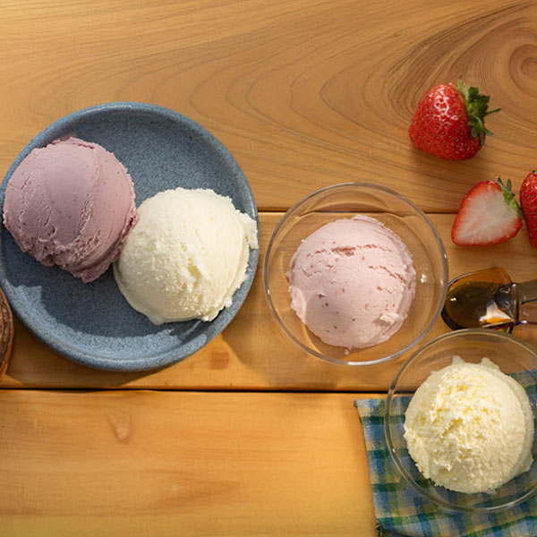 ハスカップ バニラ ストロベリー バニラのアイスクリーム