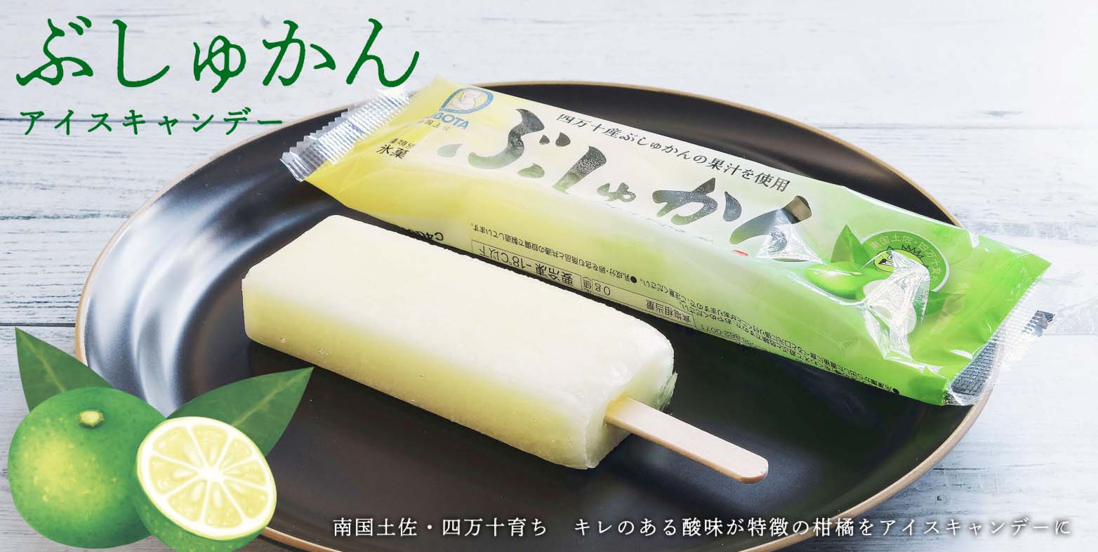 高知久保田食品土佐のフルーツキャンデーセットアイスキャンデー12本