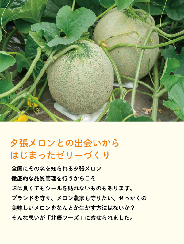 夕張メロンとの出会いからはじまったゼリーづくり