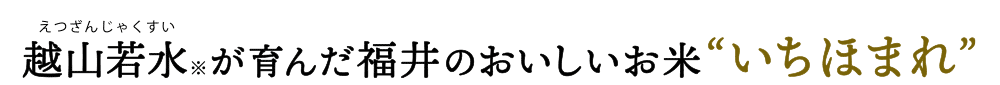 越山若水が育んだ、福井のおいしいお米 いちほまれ