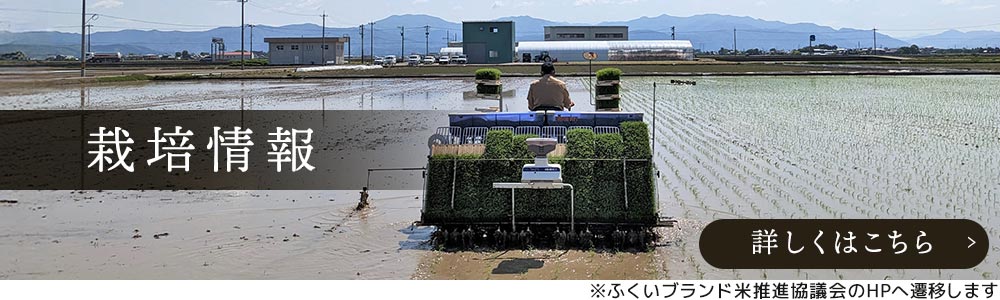 いちほまれ栽培情報 詳しくはこちら（メーカーHPへ移動）