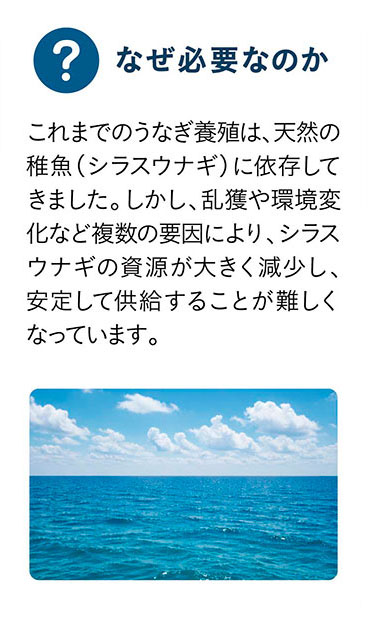 なぜ必要なのか