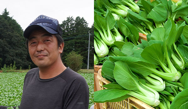 おうちでイオン イオンショップ - ■茨城県 常陸農事 皆川さんのチンゲン菜(300g)■