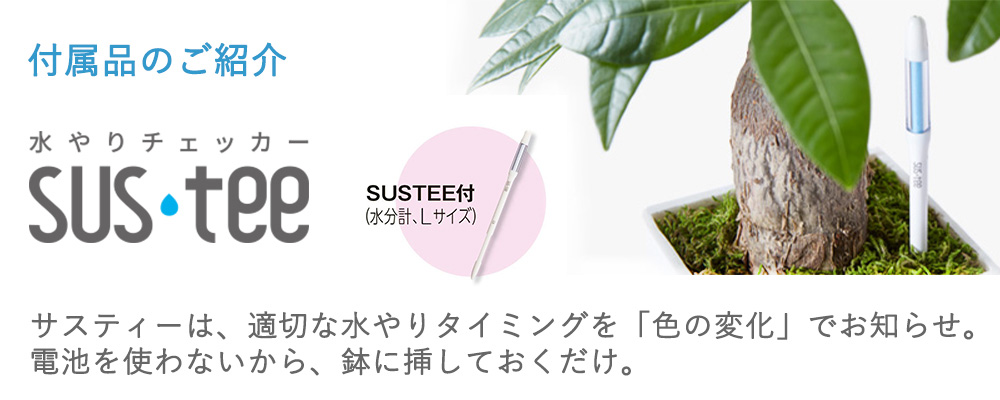 付属品サスティーのご紹介