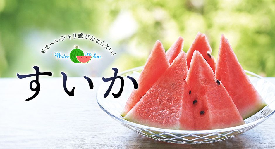 あまーいシャリ感がたまらない！すいか