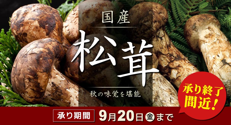 国産松茸｜秋の味覚を堪能 承り期間2024年9月20日（金）まで！承り終了間近！