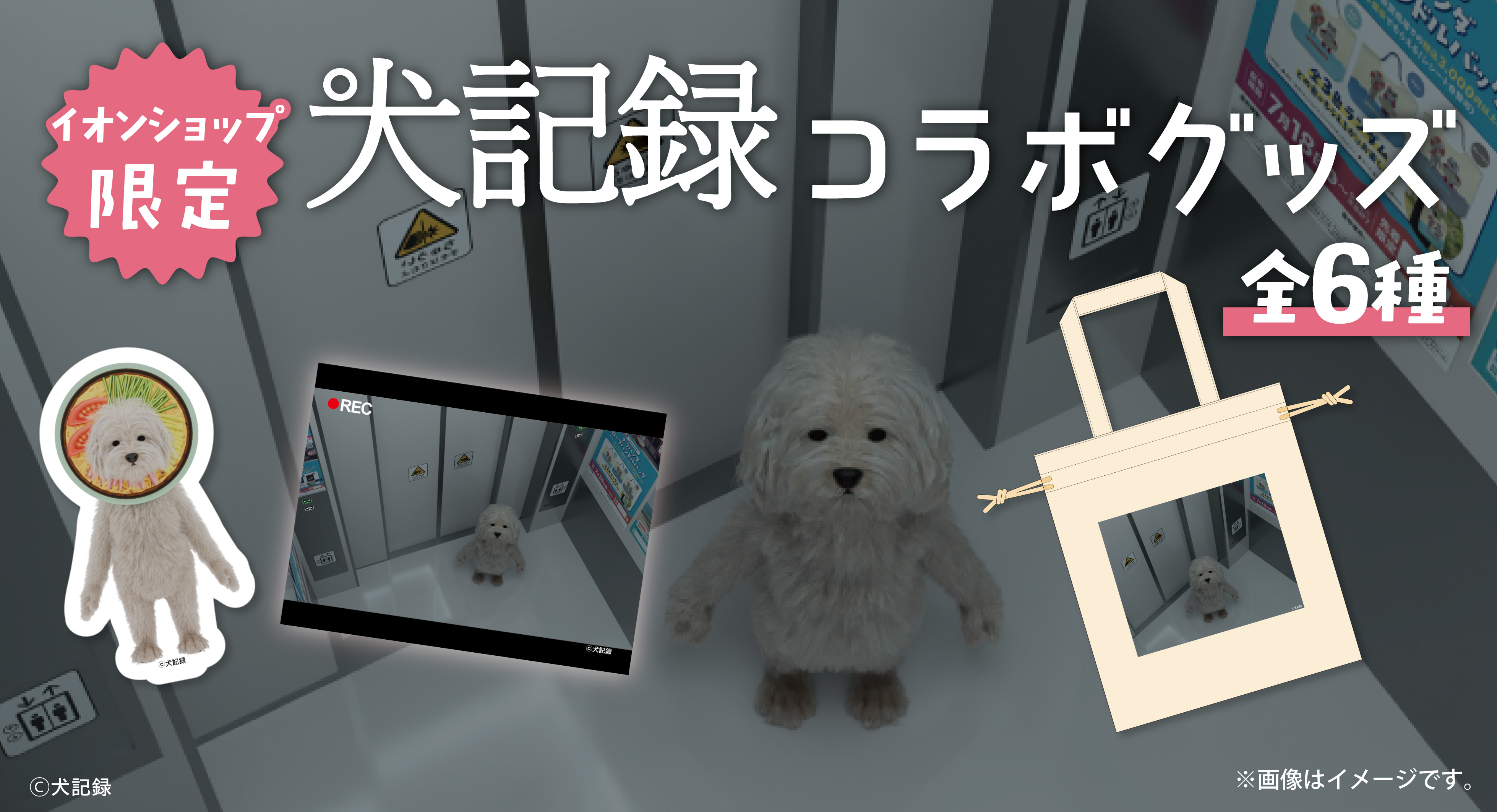 イオンショップ限定 犬記録コラボグッズ