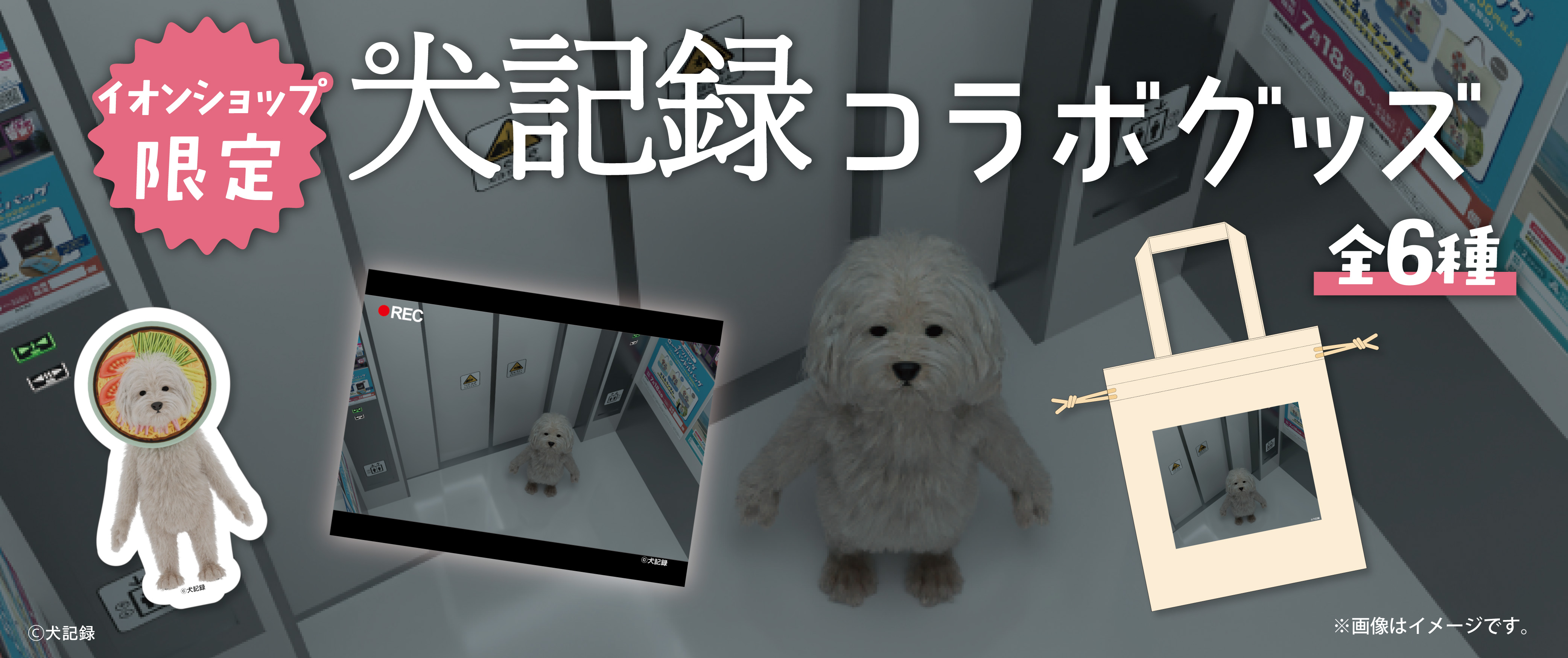 イオンショップ限定 犬記録コラボグッズ
