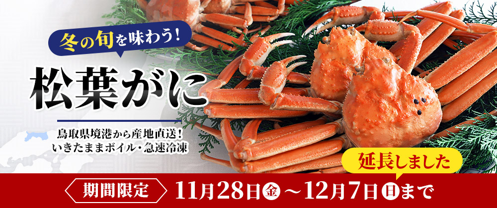 冬の旬を味わう！松葉がに｜境港から産地直送！いきたままボイル・急速冷凍
